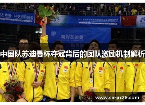 中国队苏迪曼杯夺冠背后的团队激励机制解析